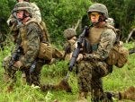 Camouflage Squad Military camouflage Ballistic vest Plant