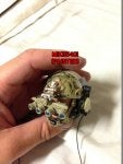 IMG_1553 (Custom).JPG