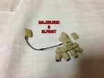 IMG_1565 (Custom).JPG