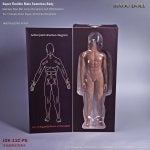 Joint Arm Leg Human body Organism